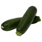 Squash Zucchini